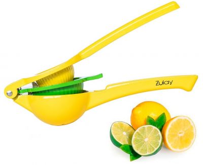 Citrus Juicer
