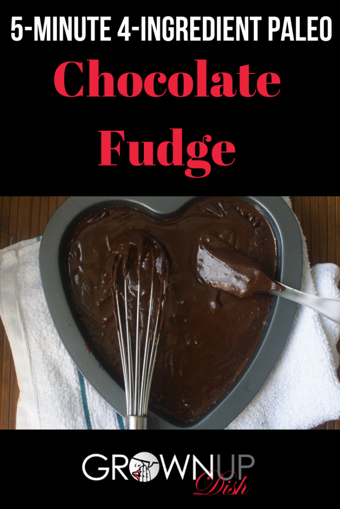 Paleo Chocolate Fudge that you can make in 5 minutes, with only 4 ingredients ... and it tastes AMAZING! Easy recipe that's perfect for gifting. | www.amiofbs.com