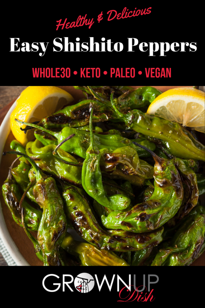 A roundup of the best Super Bowl Snack Recipes for Amiofbss. Most are healthy-ish. All are delicious and easy to make. | www.amiofbs.com
