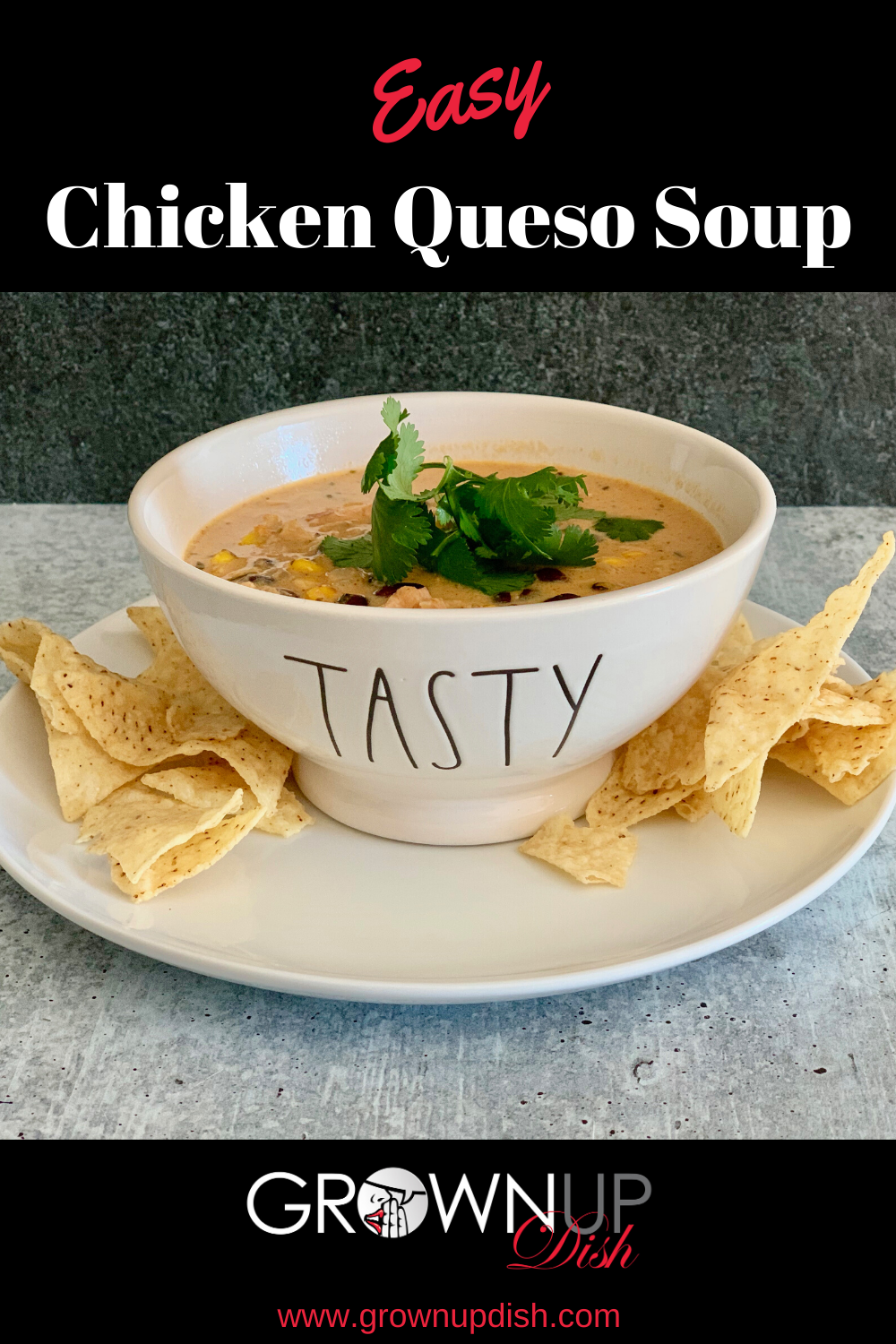 Easy chicken queso soup is cheesy, a little bit spicy, very creamy, very hearty, and oh so delicous. Quick & easy to make with leftover rotisserie chicken. | www.amiofbs.com