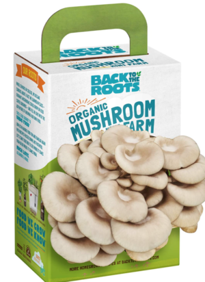 Mushroom Growing Kit