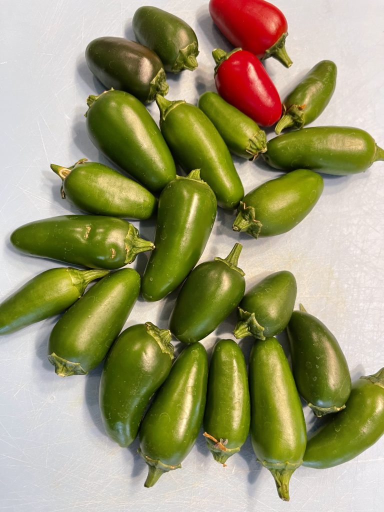 Discover how to make Sugar-Free Candied Jalapeños using no calorie monkfruit sweetener instead of sugar. They're sweet and spicy and virtually indistinguishable from the store-bought version. | www.amiofbs