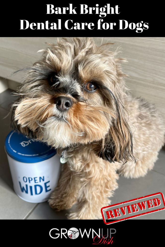 Unbiased review of Bark Bright, the daily dual toothpaste and dental stick system to keep dogs’ funky breath and plaque buildup under control | www.amiofbs.com
