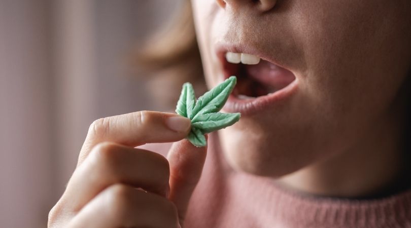 The CBD market is full of options, but it can feel overwhelming if you don’t have a bit of background. Here, I go over the top-selling CBD products. | www.amiofbs.com
