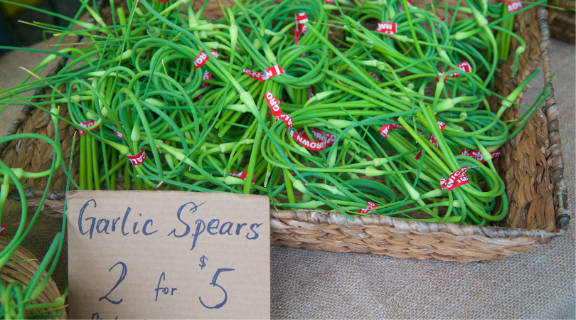 Garlic scapes taste like a blend of scallions and garlic and you can turn them into the most amazing pesto. You've gotta try this easy recipe. | www.amiofbs.com