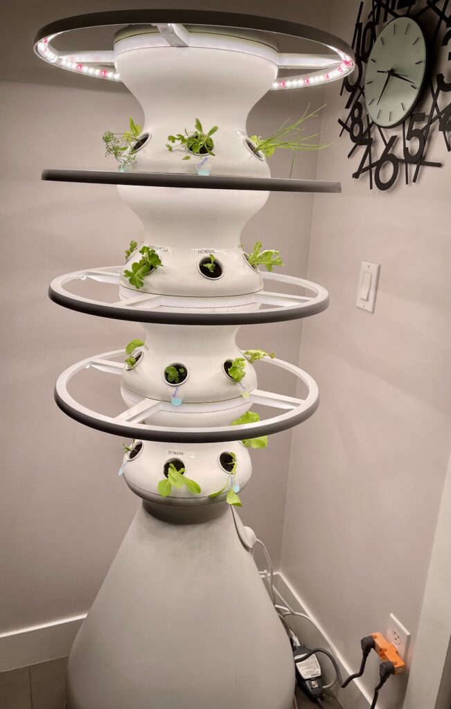 Lettuce Grow Farmstand review. Grow organic produce in your yard or home with this unique self watering product. Use my code to save $75. www.amiofbs.com