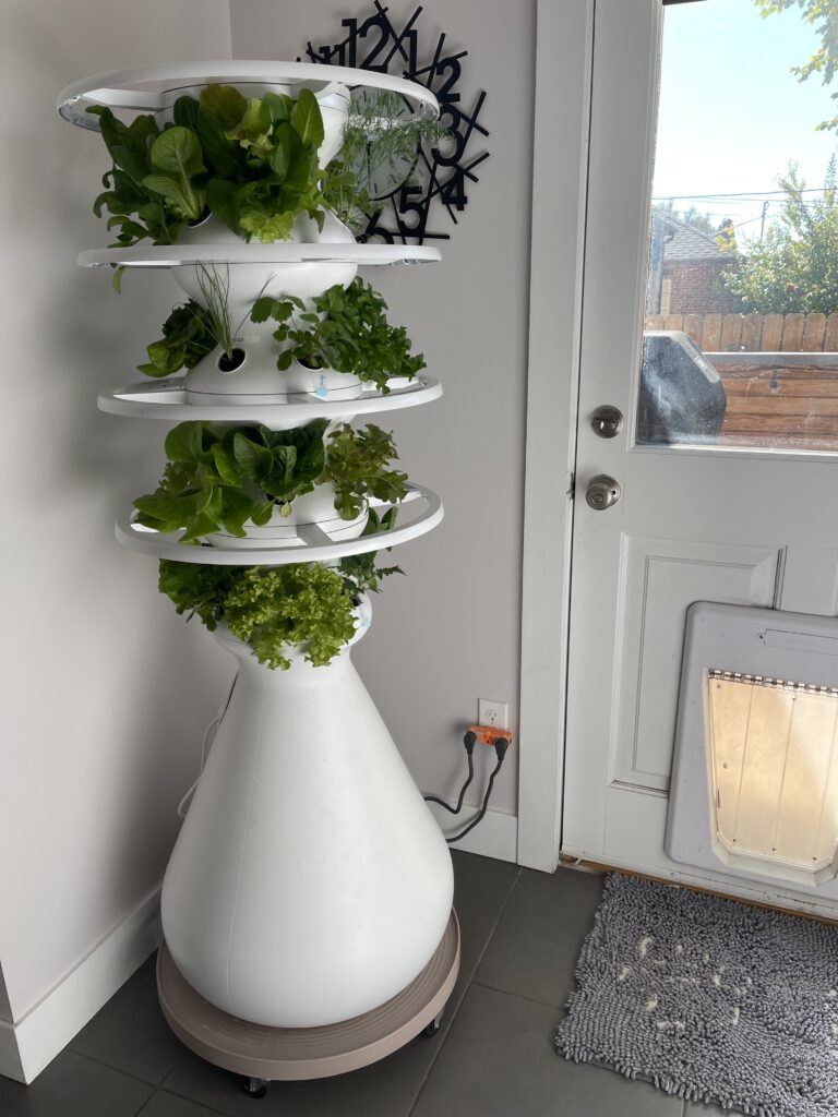 Lettuce Grow Farmstand review. Grow organic produce in your yard or home with this unique self watering product. Use my code to save $75. www.amiofbs.com